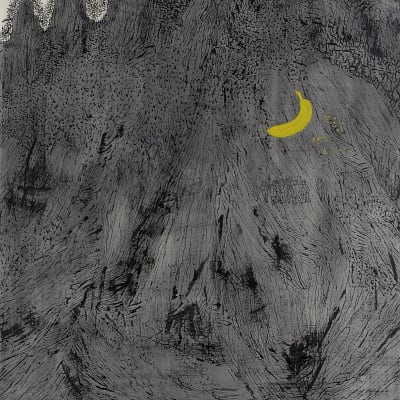 Landscape with Banana