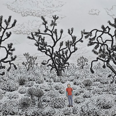 Avi kwa ame Joshua Tree Forest