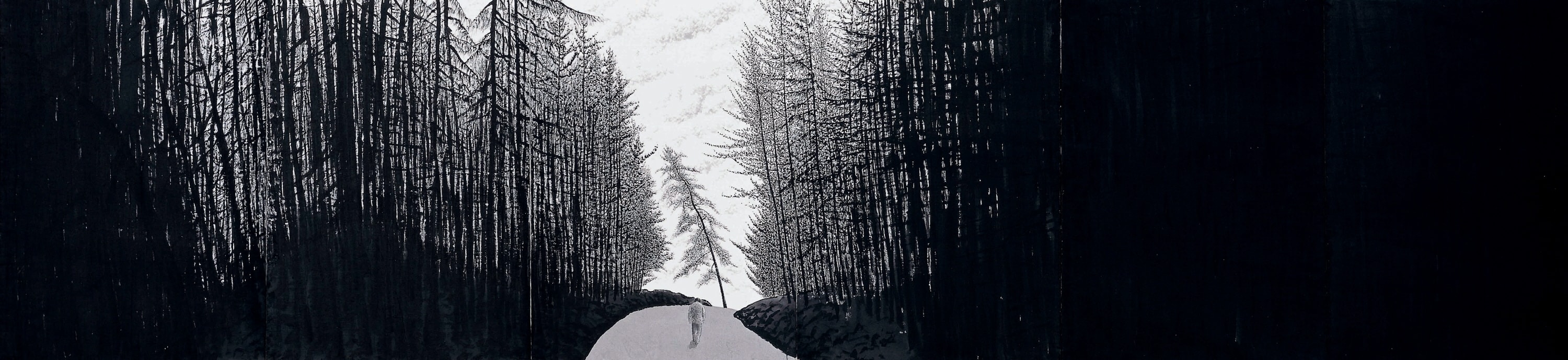 Into the Cedar Forest