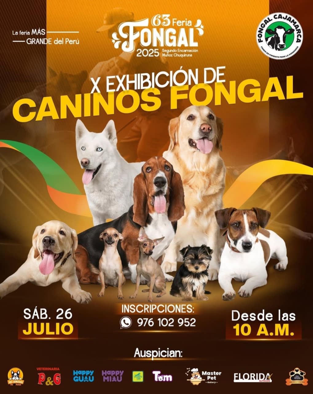 IX Exhibición Canina - Fongal 2025 