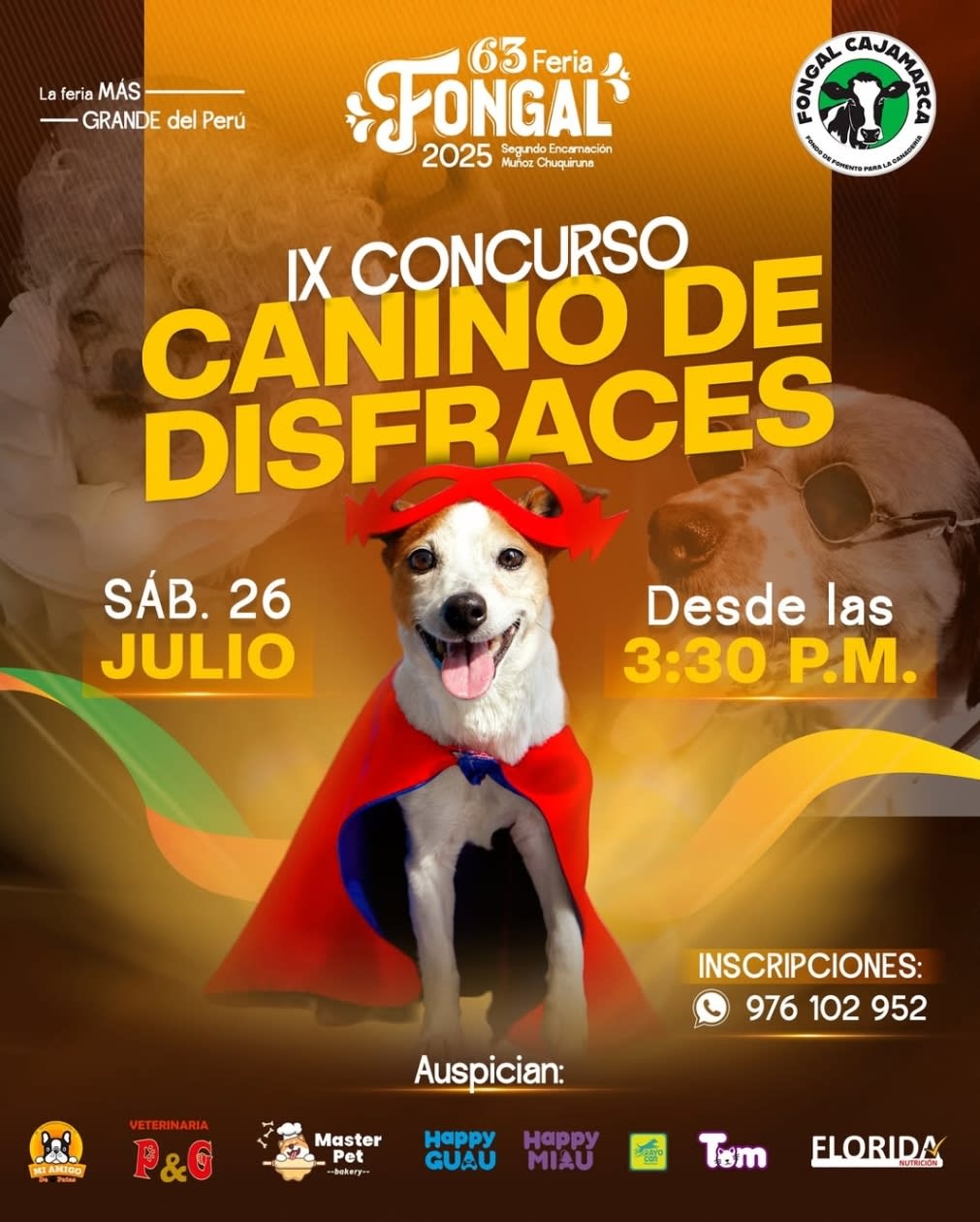 IX Concurso de Disfraces Fongal 2025