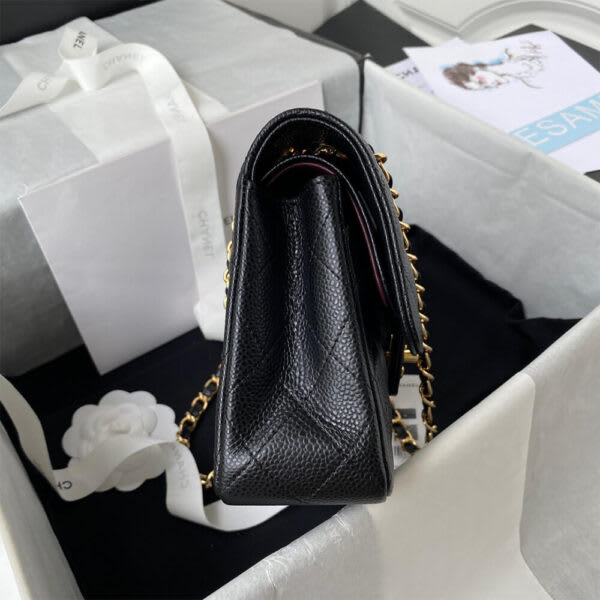 Small Classic Handbag view 4