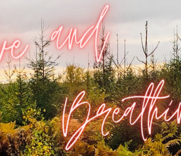 Illustration de l'article Cours en ligne Automne 2020