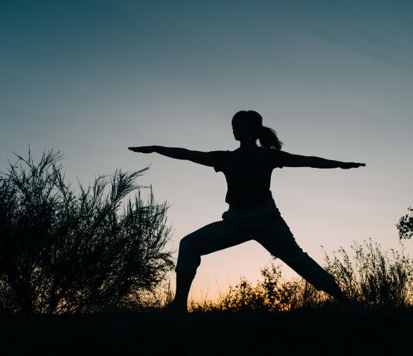 Illustration de l'article Samana yoga, l'aventure
