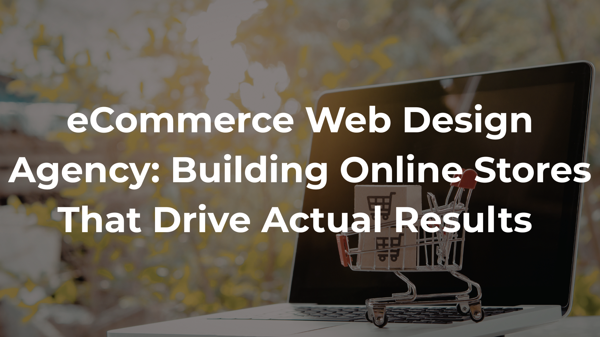 eCommerce Web Design Agency: Building Online Stores That Drive Actual Results