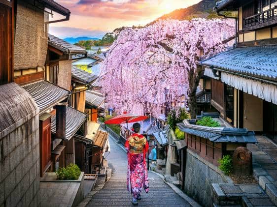 Kyoto panorama