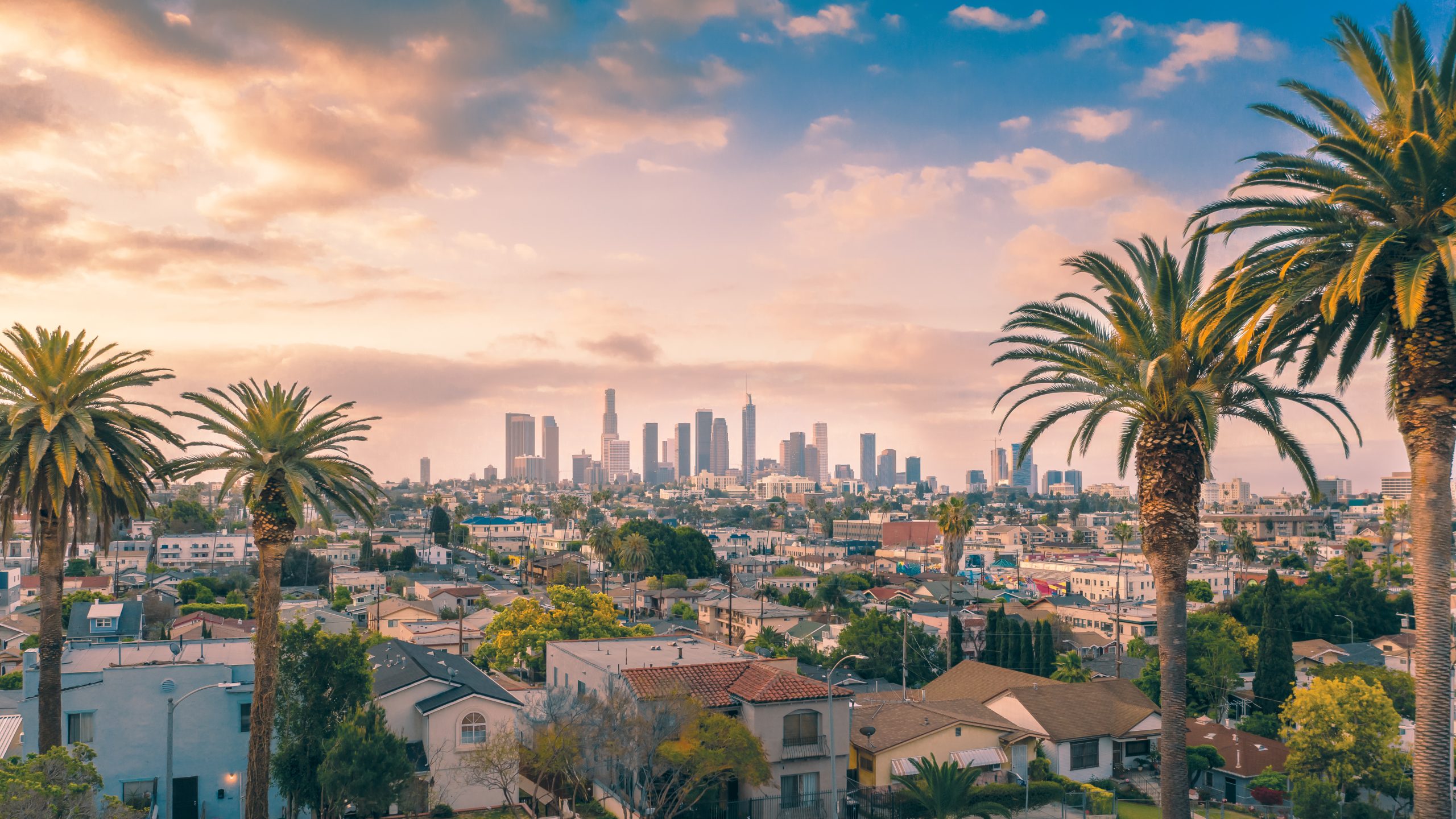 los angeles panorama