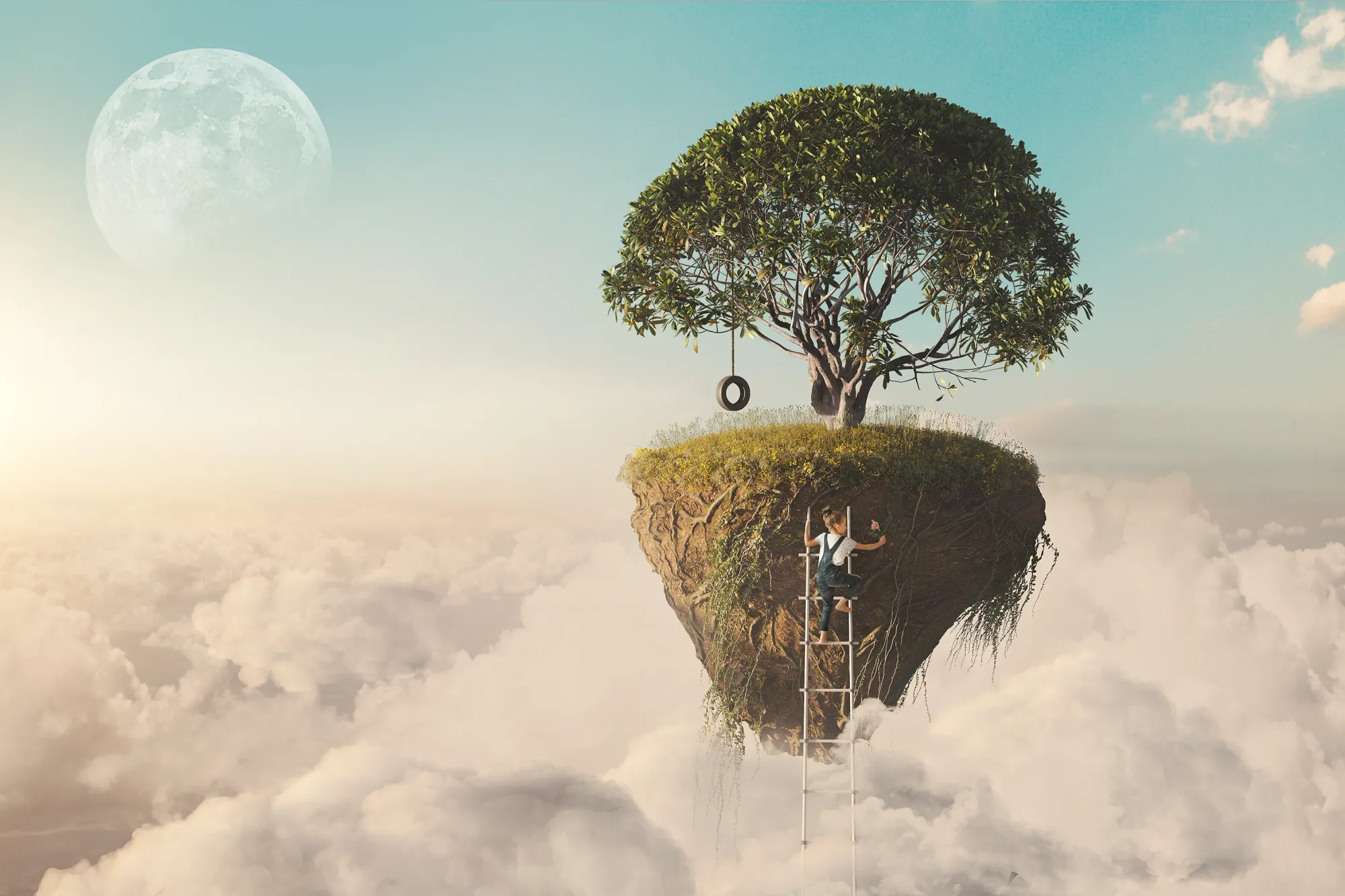 Dreams