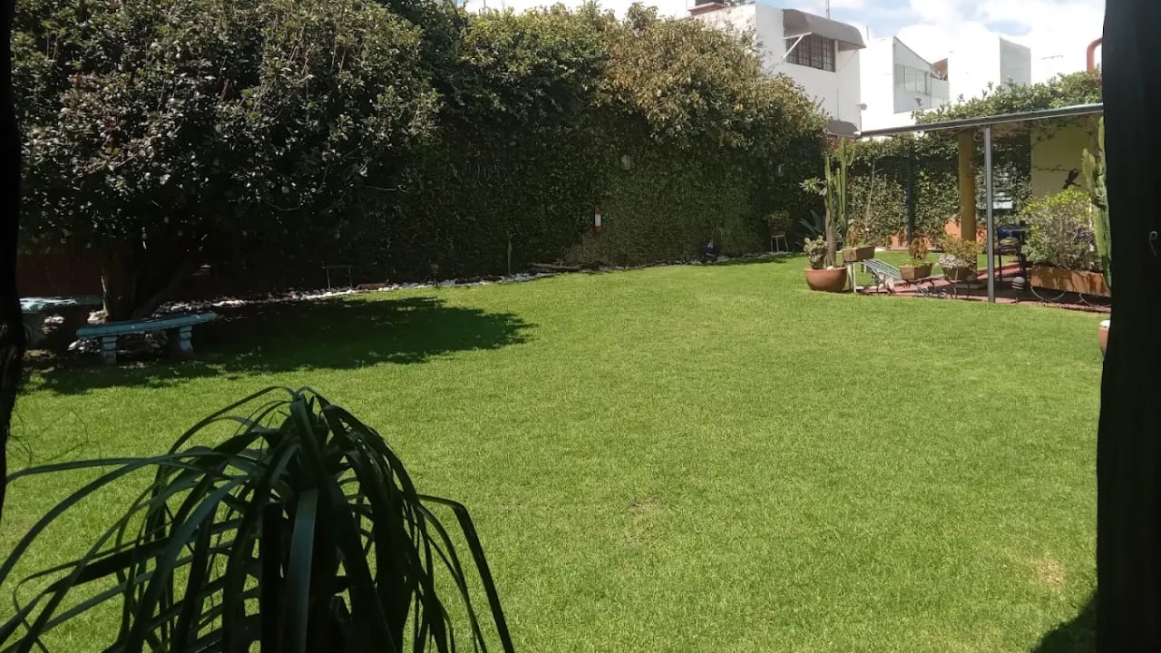 Jardín Cactus — foto 3