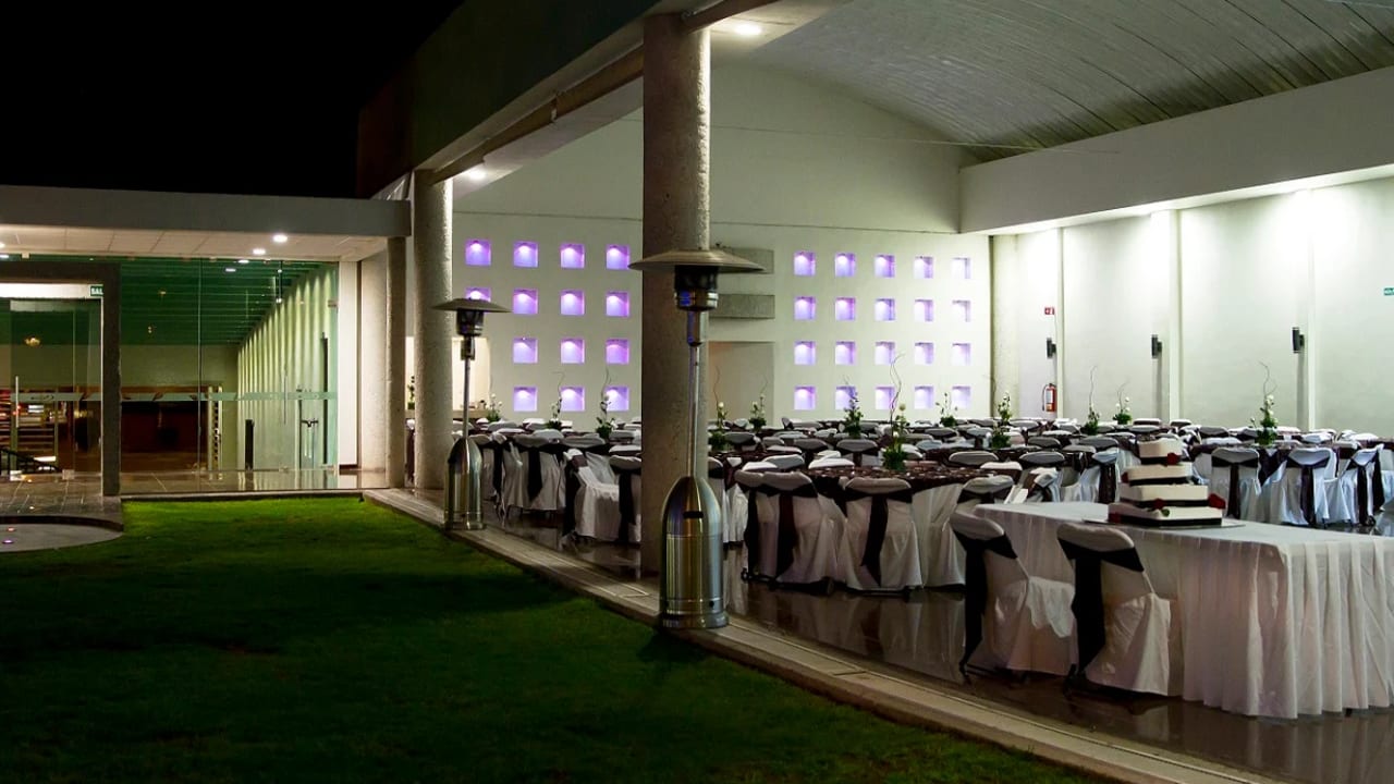 Callisia Terraza — foto 4