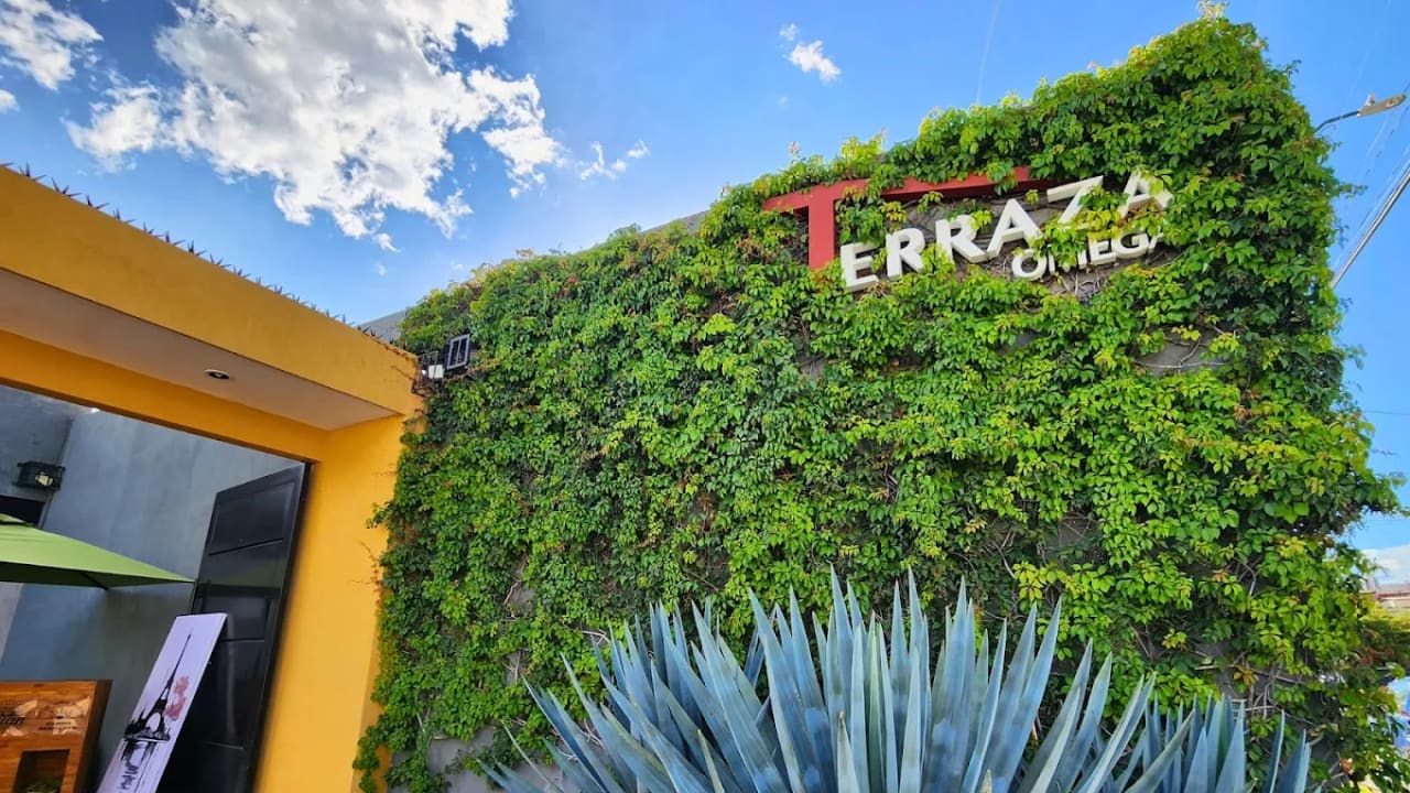Terraza Omega — foto 5