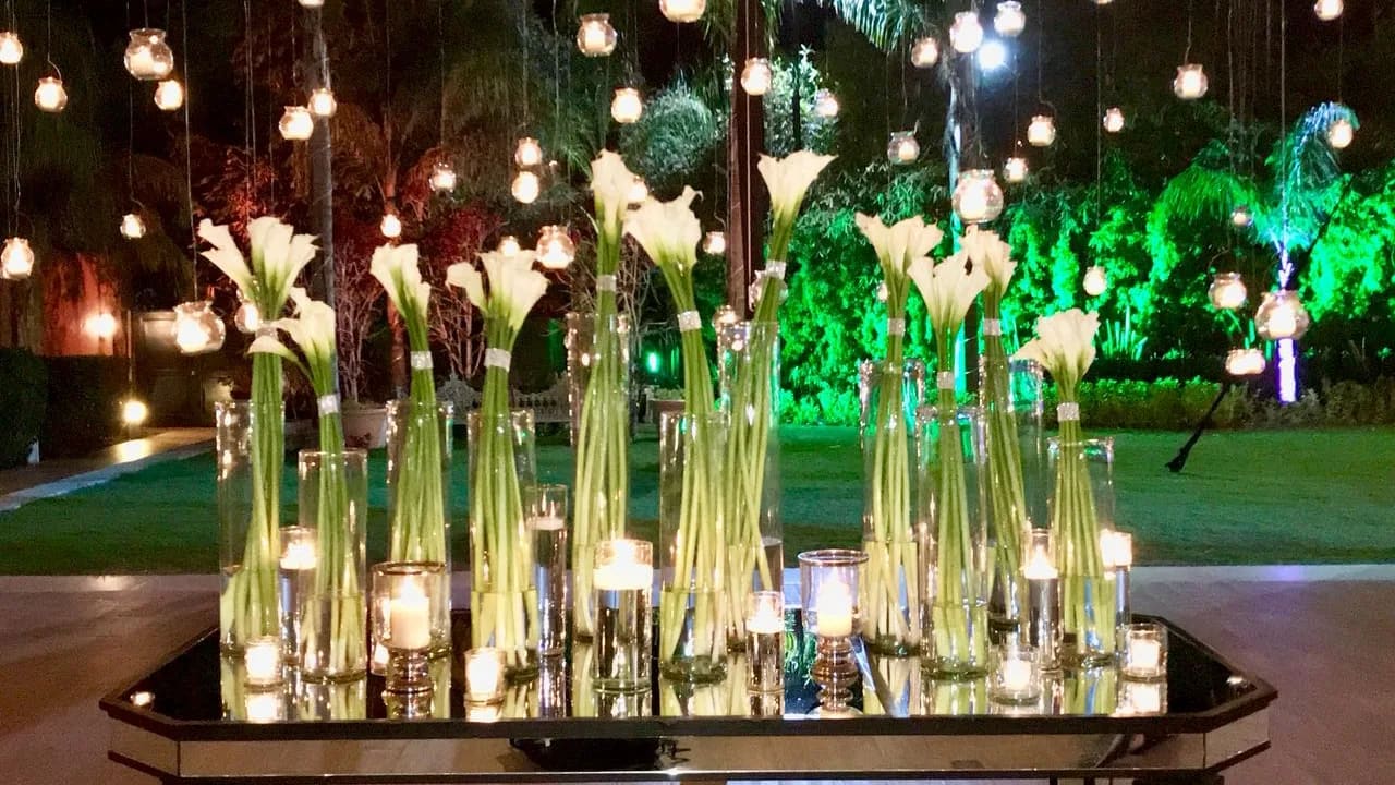 Skada Jardín — foto 5