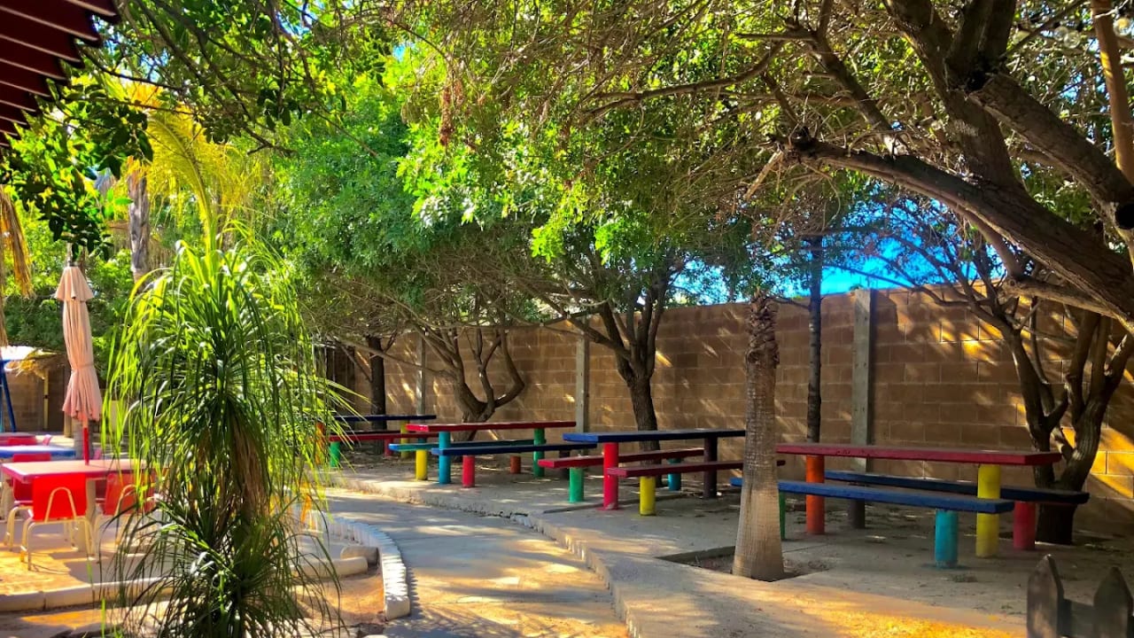 Jardín Oasis — foto 3