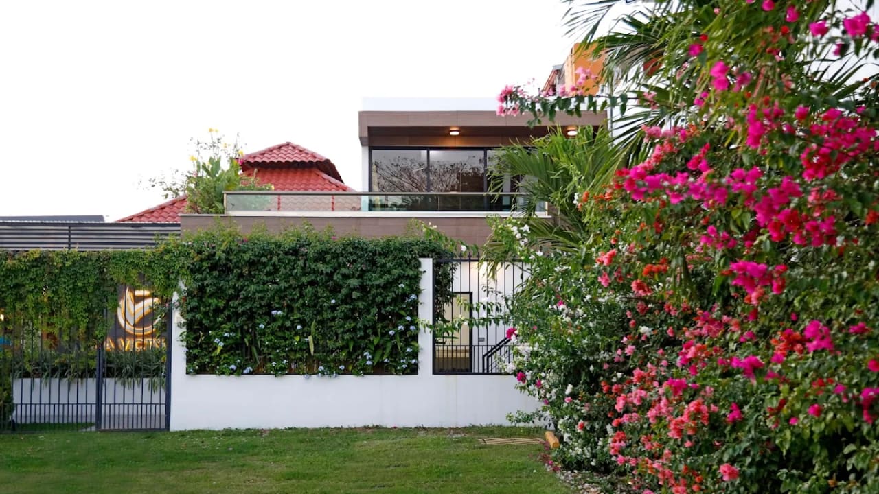 Palapa La Victoria — foto 2
