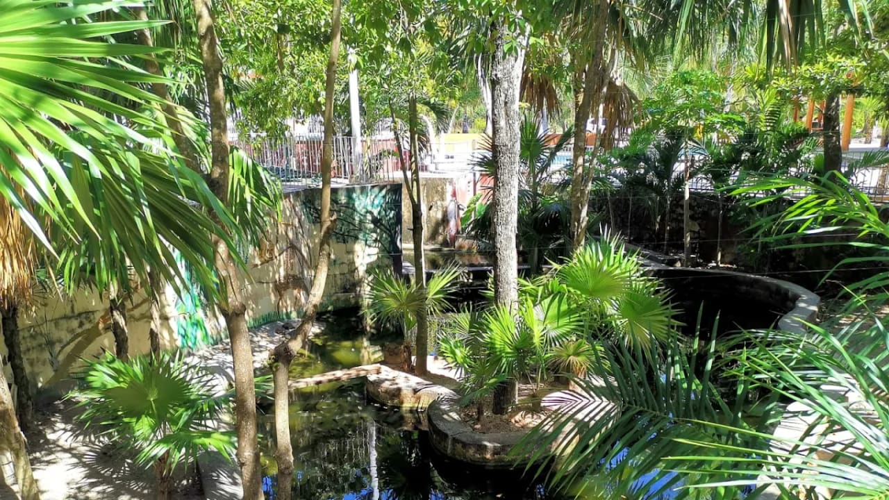Finca Yorogana — foto 3