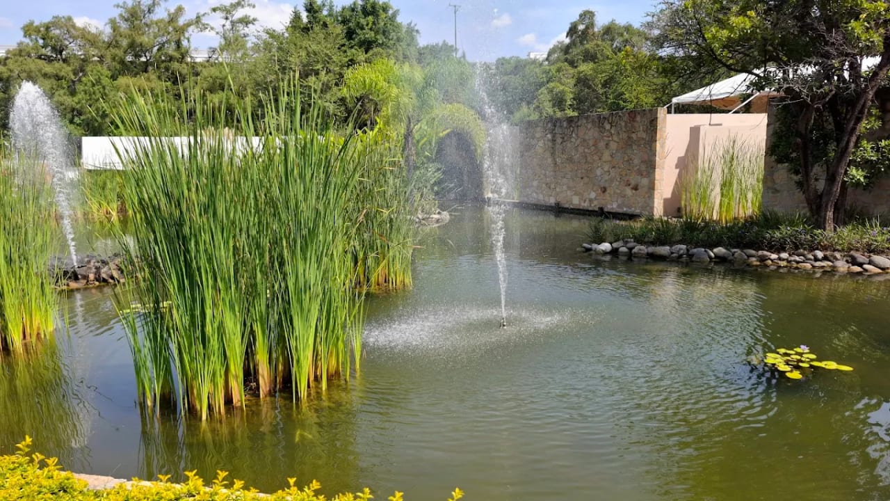 Agua Viva Jardin de Eventos — foto 4