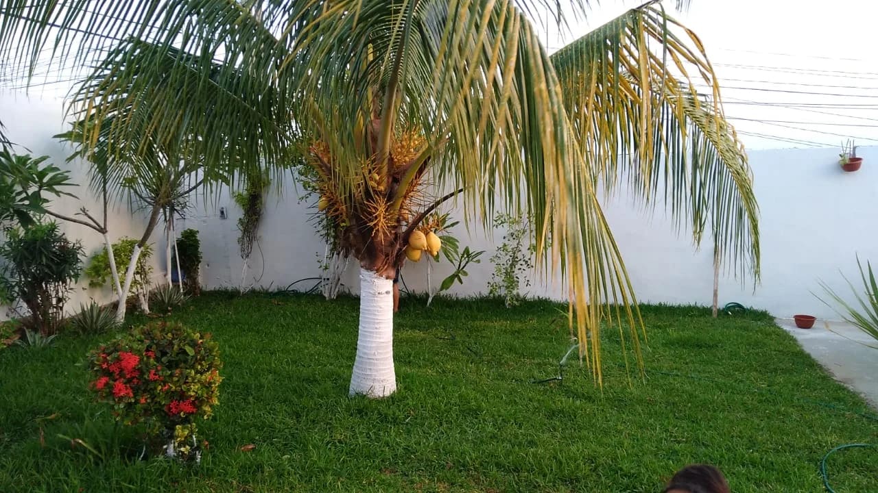 Sala De Fiestas "La Fortaleza" — foto 2