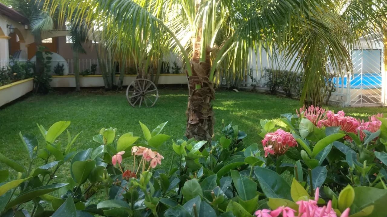 Palapa Belen — foto 4