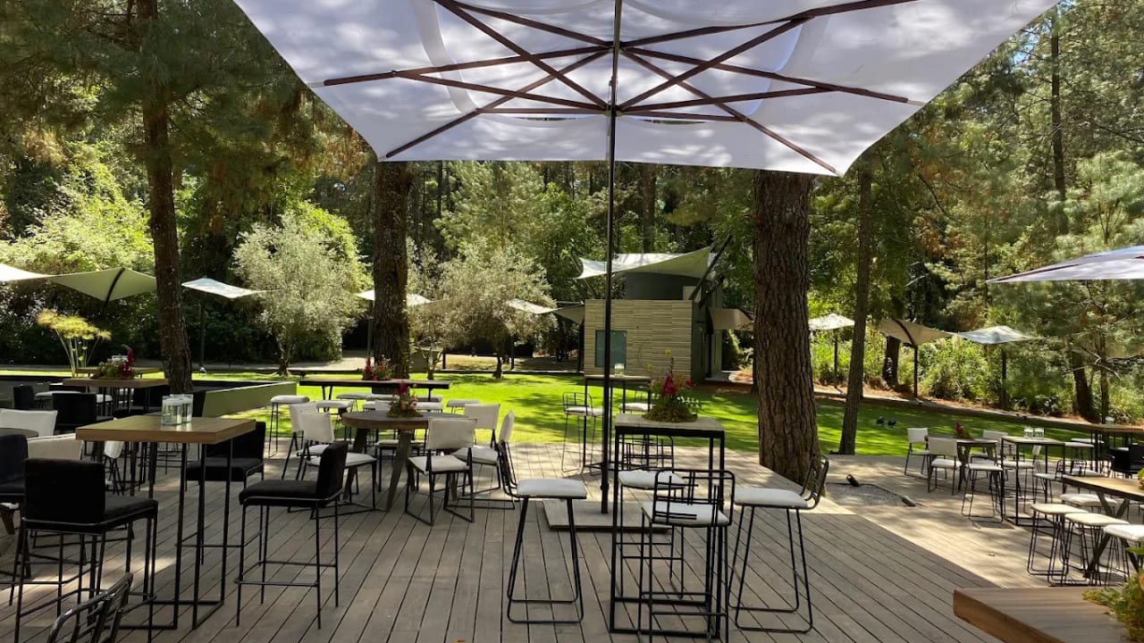 Rosmarino Forest Garden