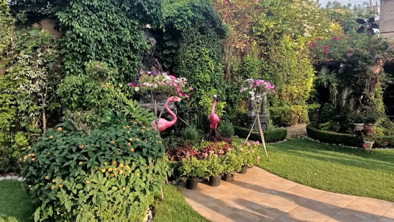 Salón Jardin México Lindo — foto 5