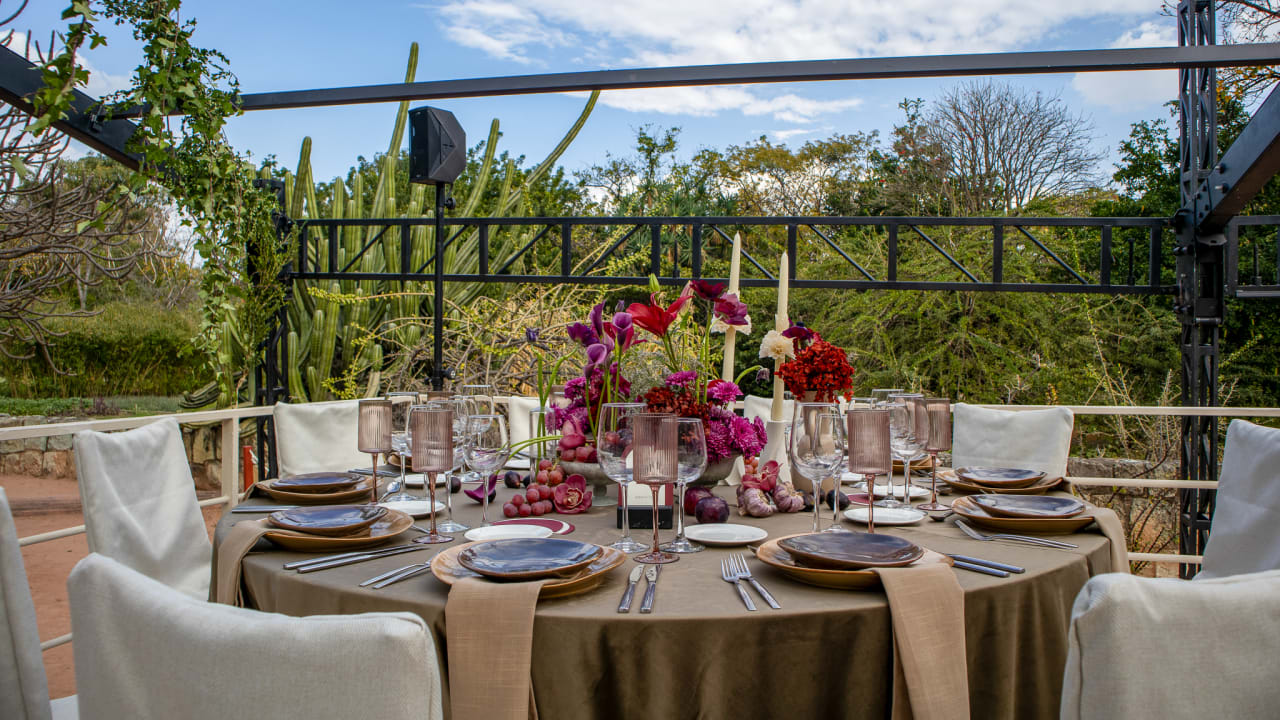 Jardín Etnobiológico de Oaxaca — foto 5