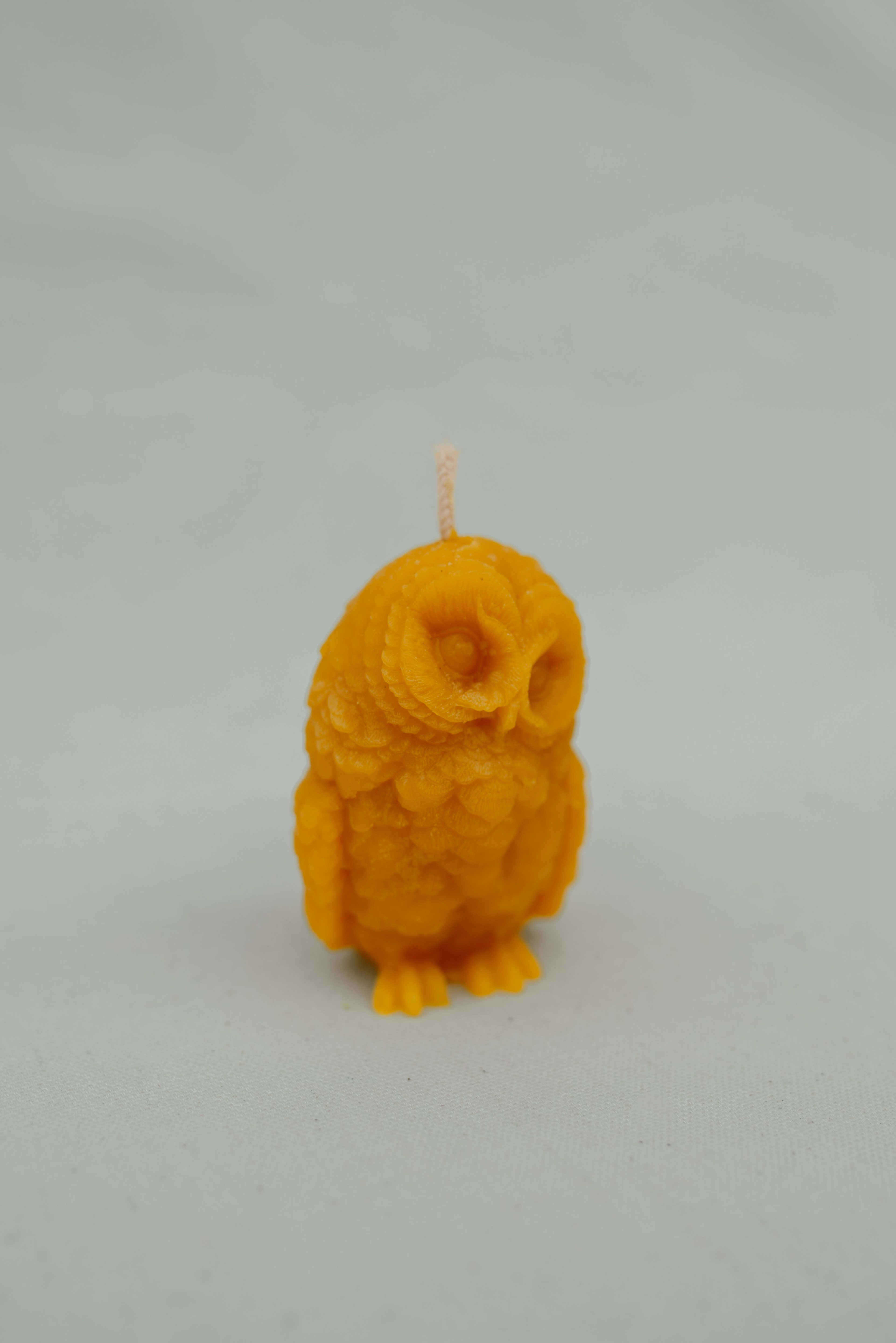 Сова 2