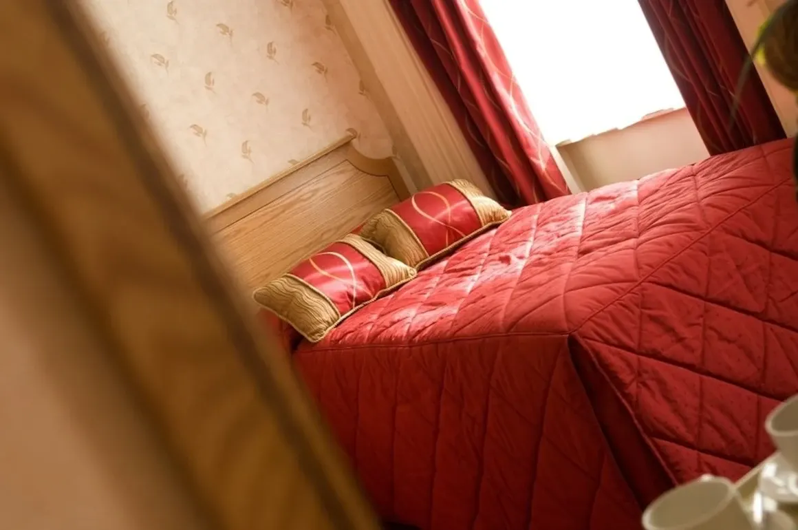 Montana Hotel London - الصورة الرئيسية