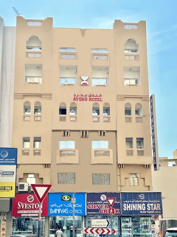Aygro Hotel - image 4
