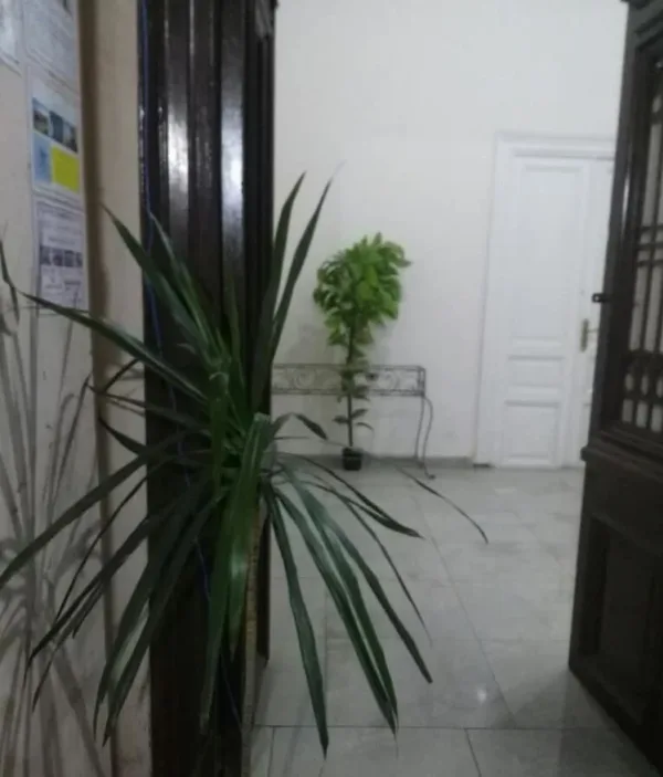 Safary Hotel - Hostel - صورة 2