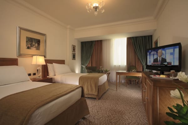 Sonesta Hotel Tower Casino Cairo - image 2
