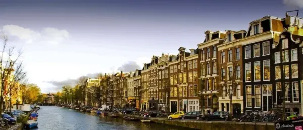 OZO Hotels Cordial Amsterdam - صورة 4