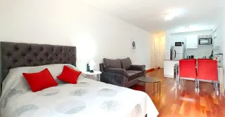 Amplio monoambiente con pileta climatizada, parrilla y seguridad - Miniatura 15