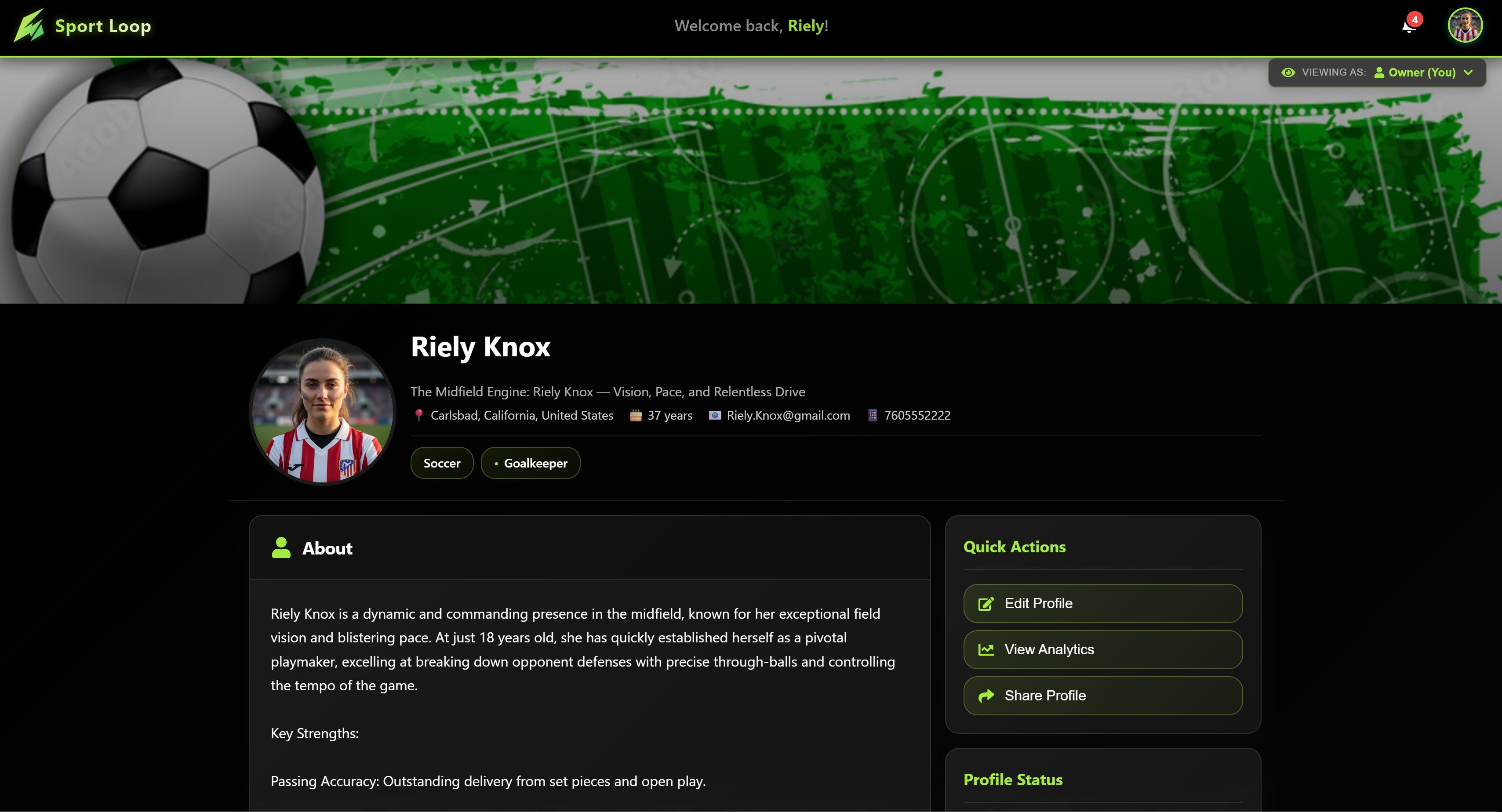 Player Profile - Overview