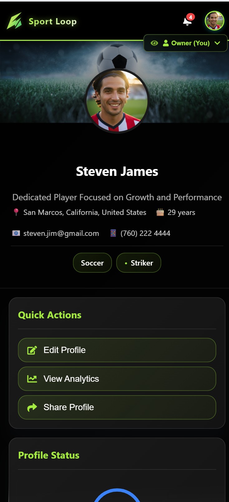 Mobile layout of Player Profile