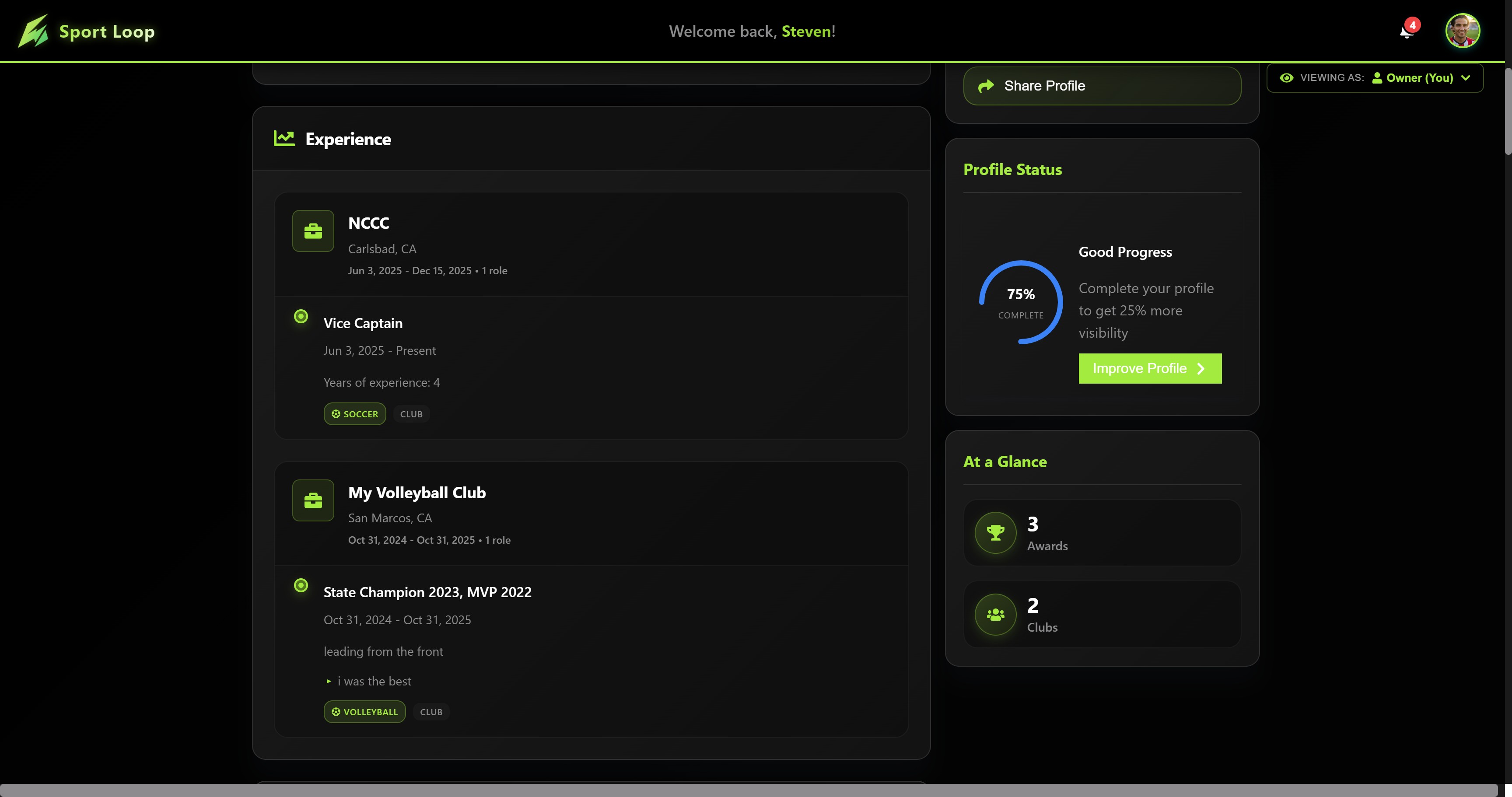 Player Profile - Experience