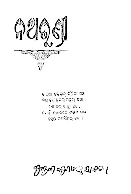 ନଅ ତୁଣ୍ଡୀ  cover