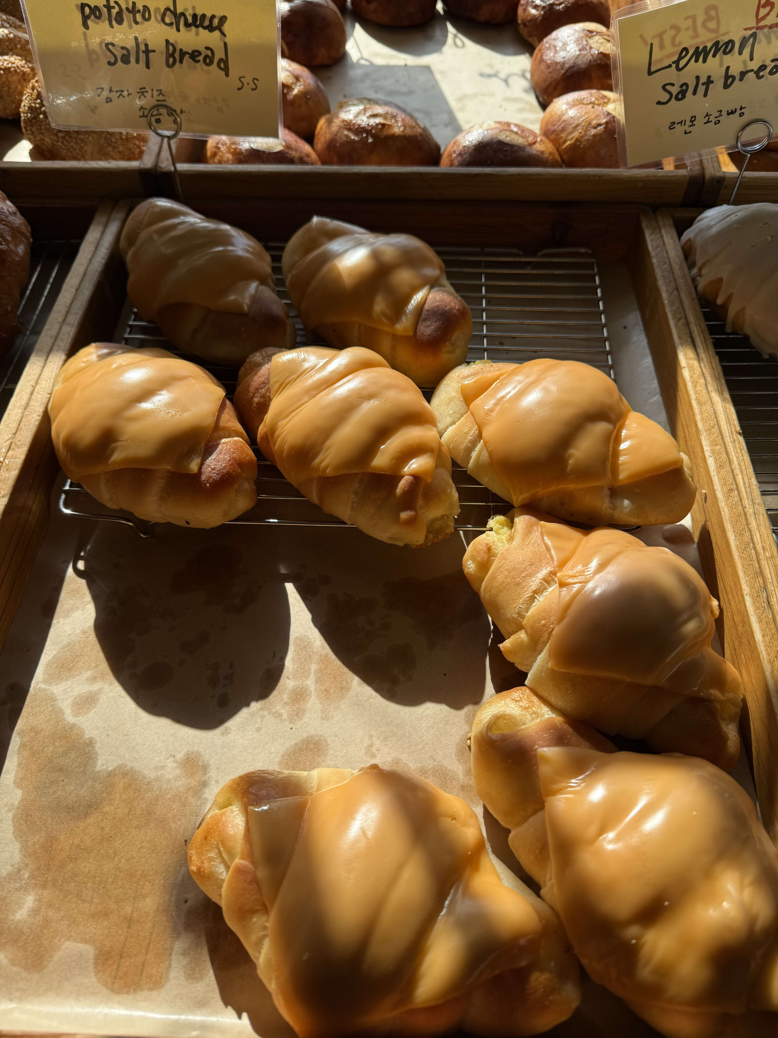 ショーケースに並ぶポテトチーズ塩パン。表面のチーズに朝日が当たる。
