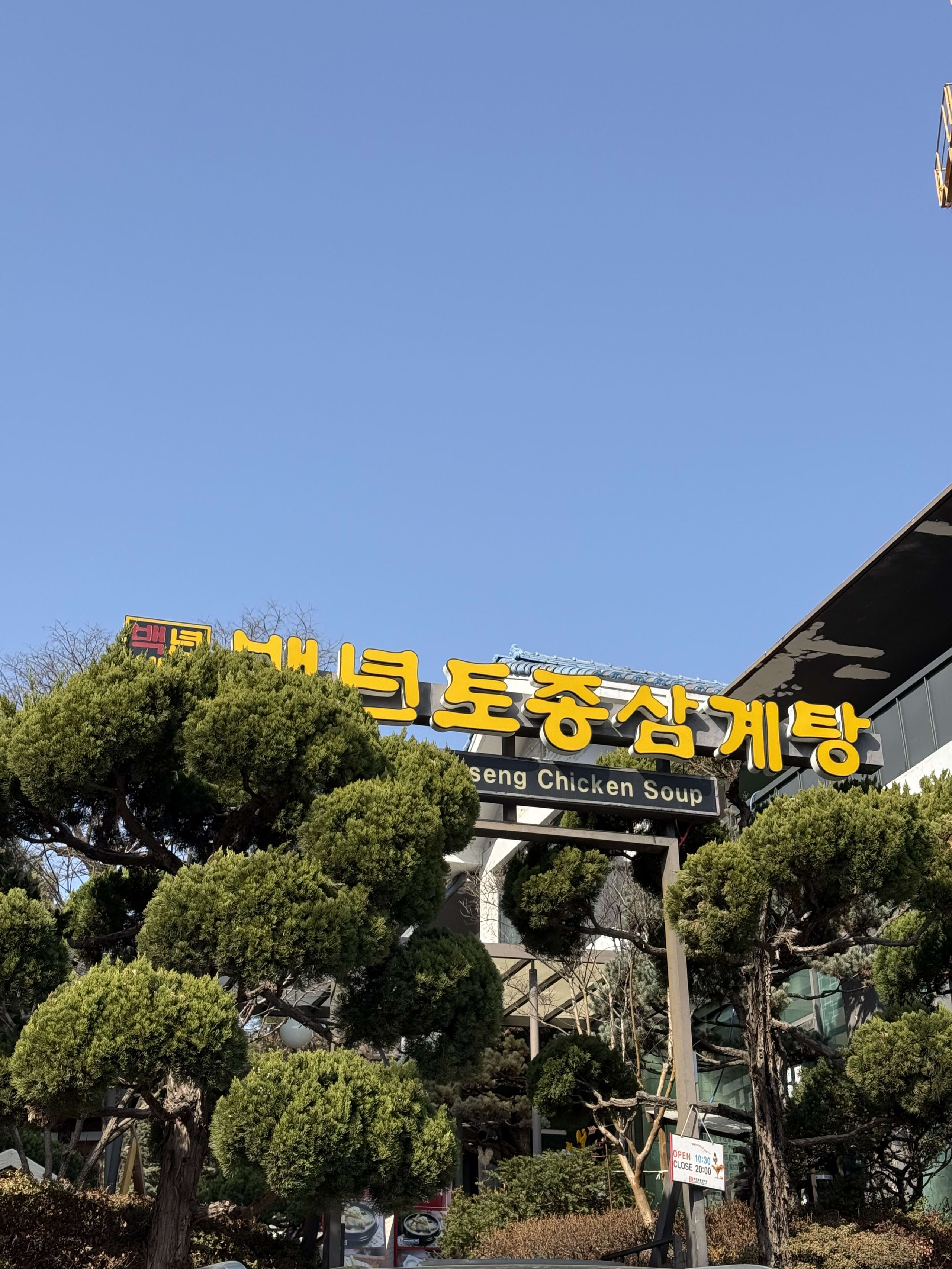 青空と松の木に囲まれた黄色い看板の参鶏湯店。