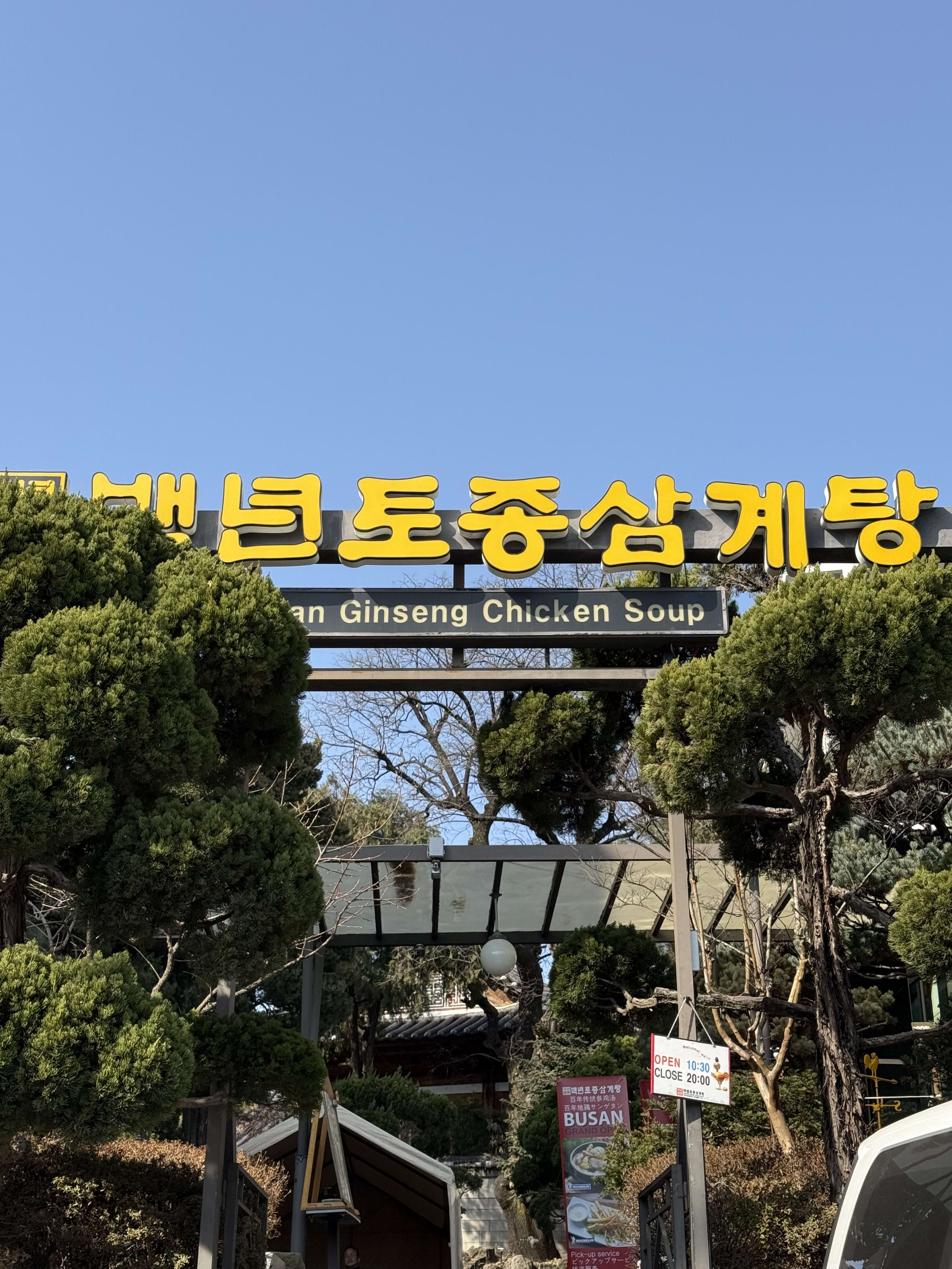 黄色いハングル看板と松の木がある参鶏湯店の入り口。