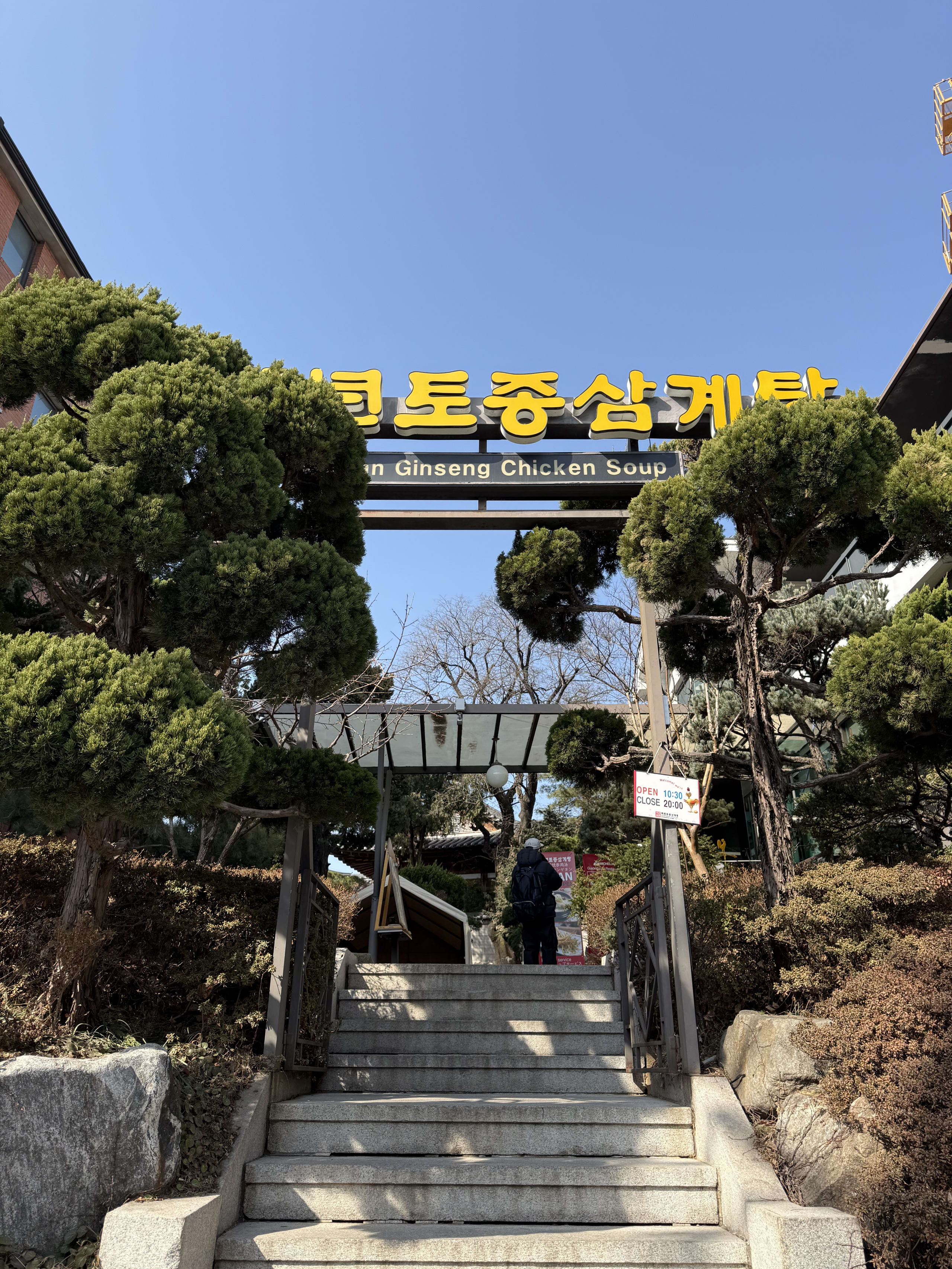 黄色いハングル看板と松の木が特徴的な参鶏湯の店へ続く石段。