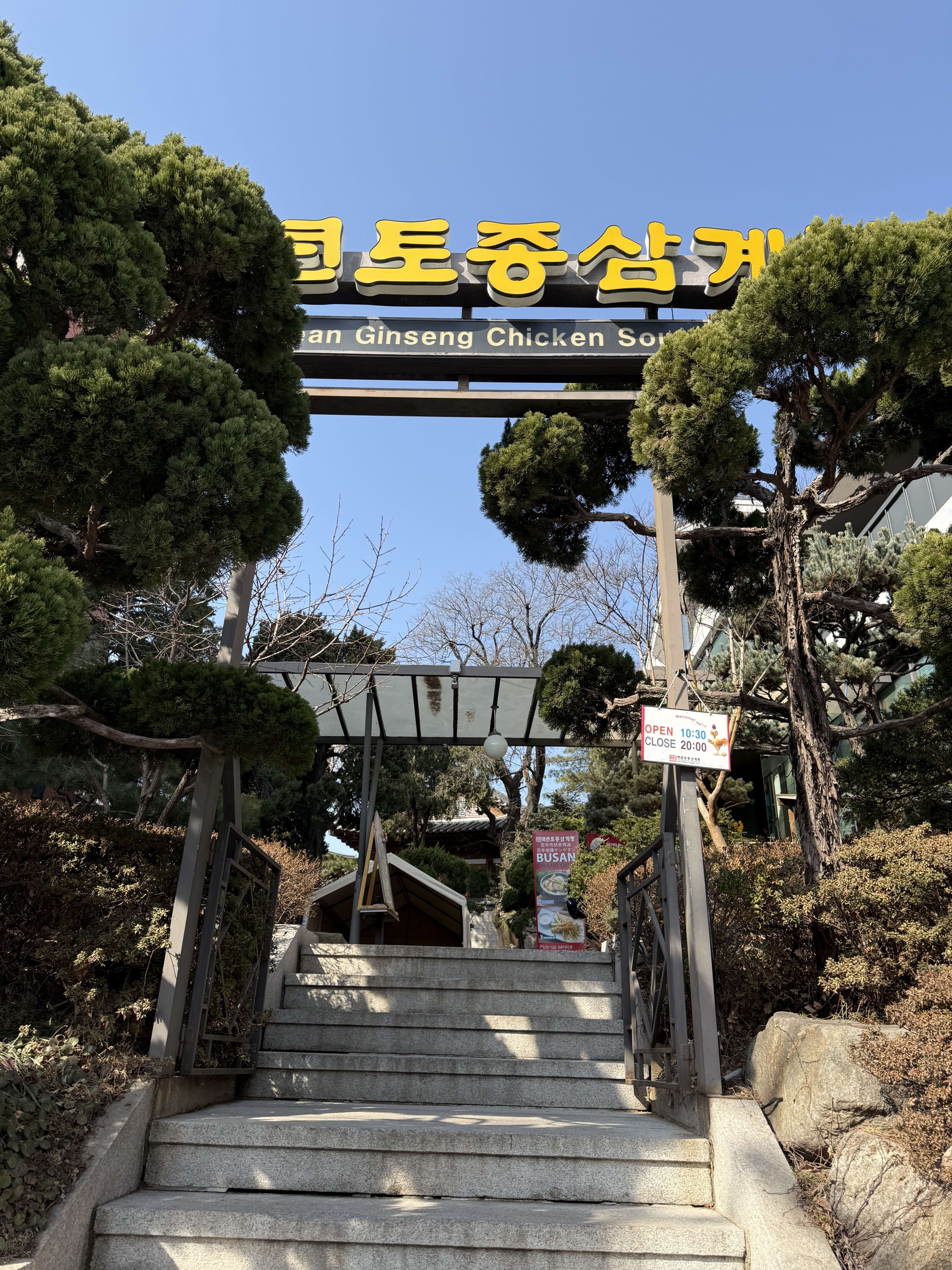 青空の下、松の木と石段がある参鶏湯の看板の入り口。