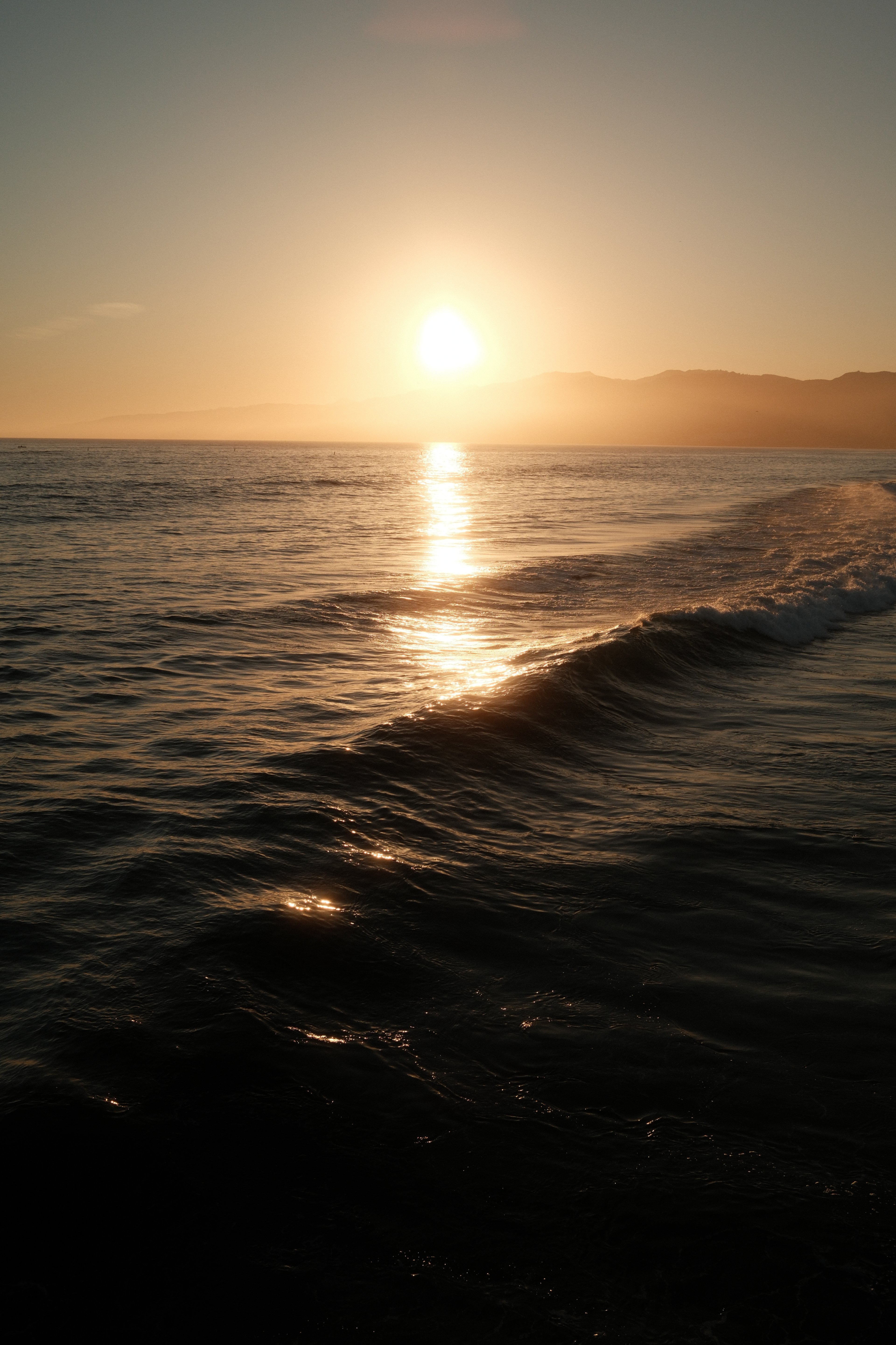 DSCF1958.JPG