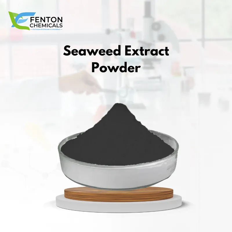Seaweed Extract Powder
