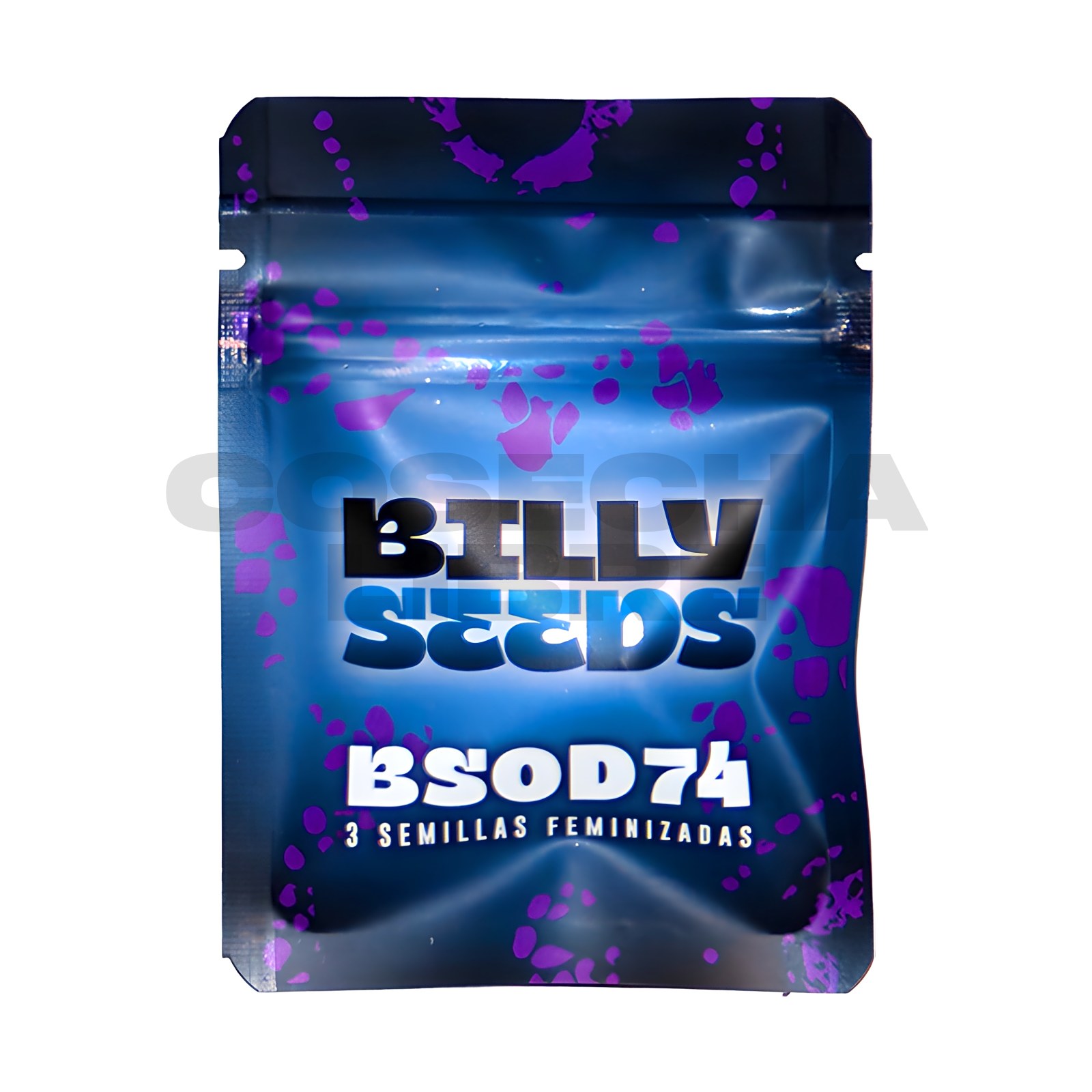 Semillas Billy Seeds BSOD74 feminizadas x3