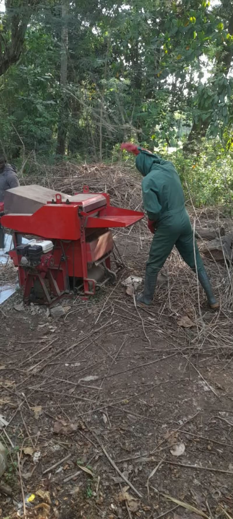 This Is Seed Sheller