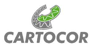 Estudio Secondi y Asociados | Cartocor