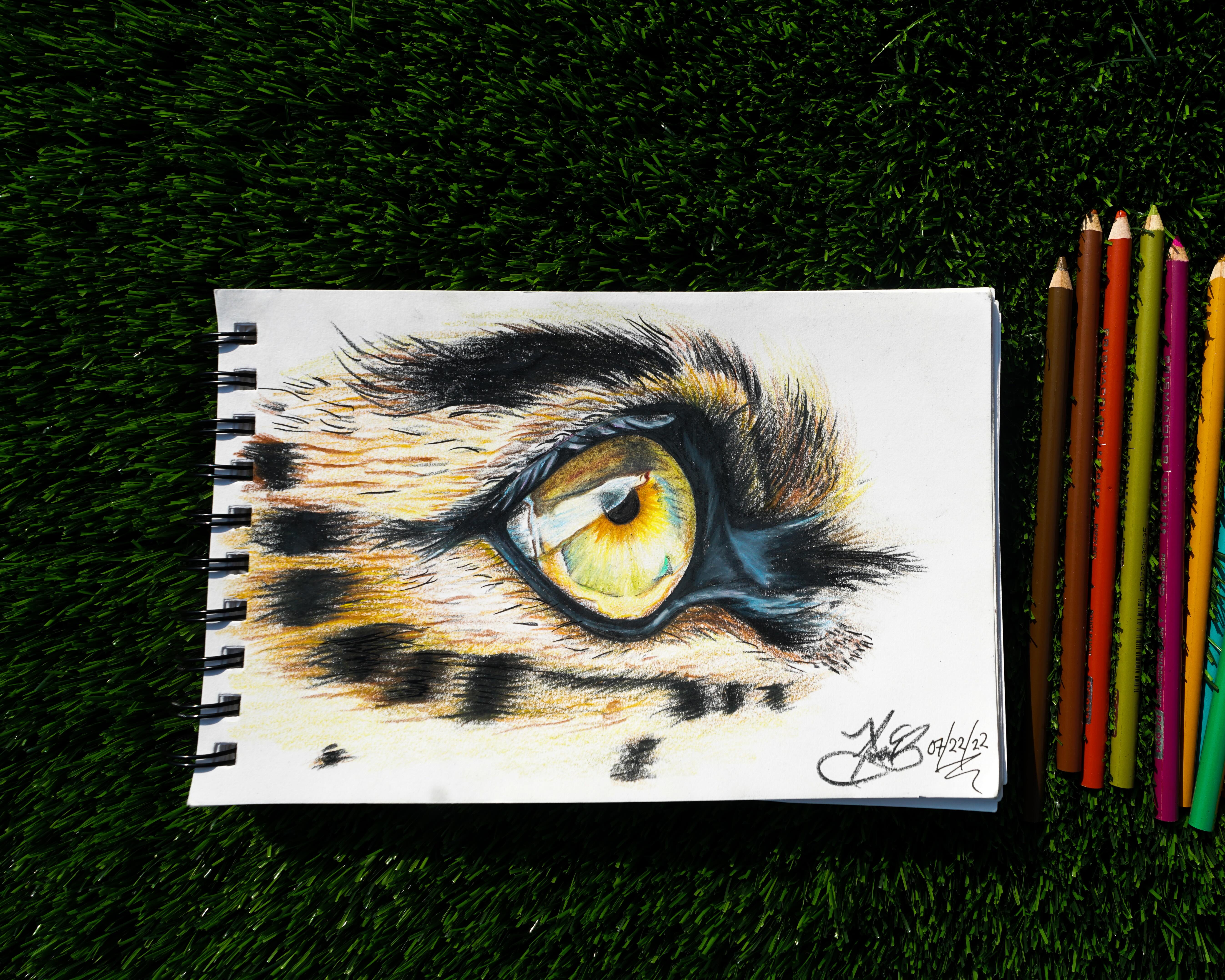 Original Drawing