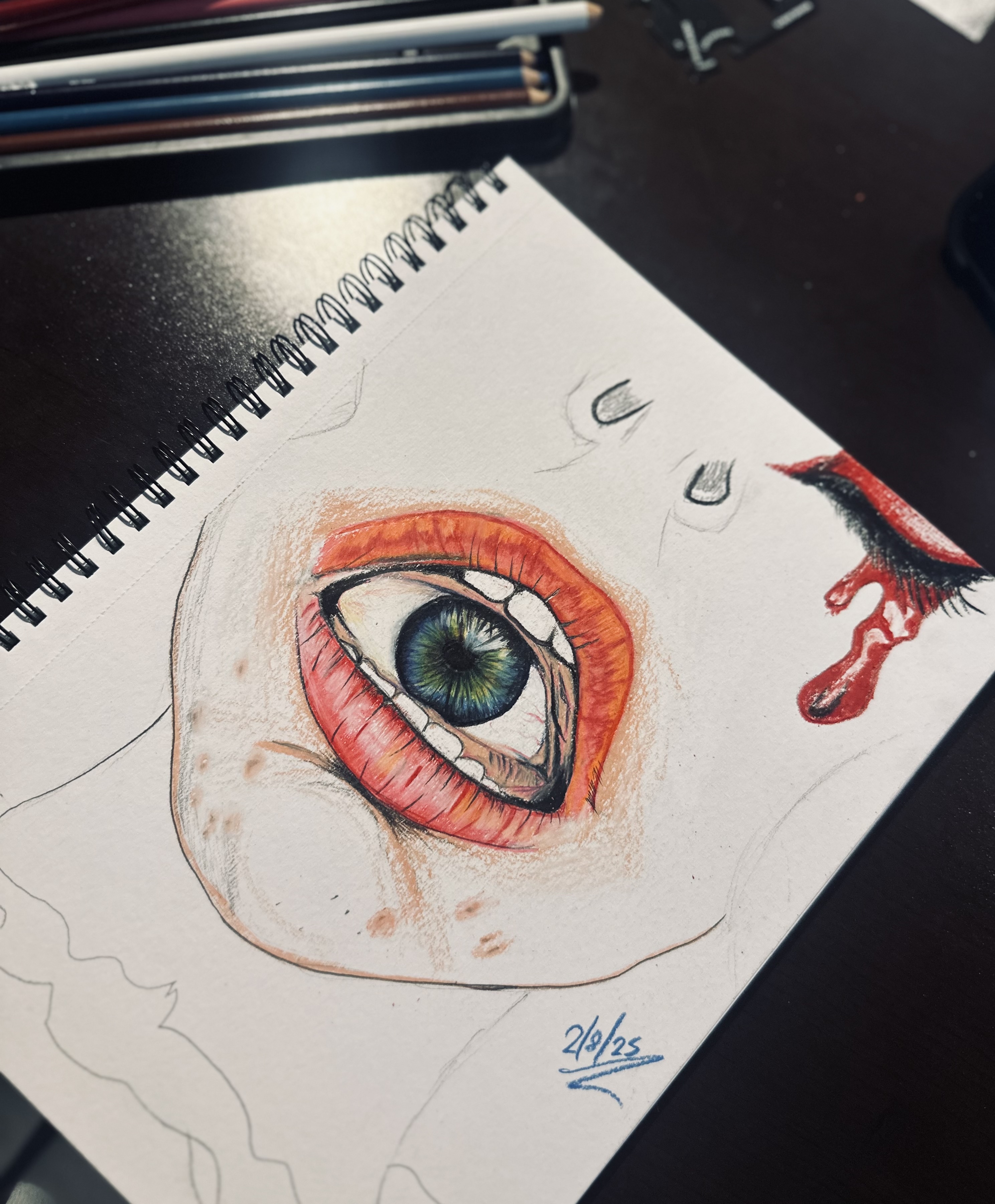 Anatomical Study