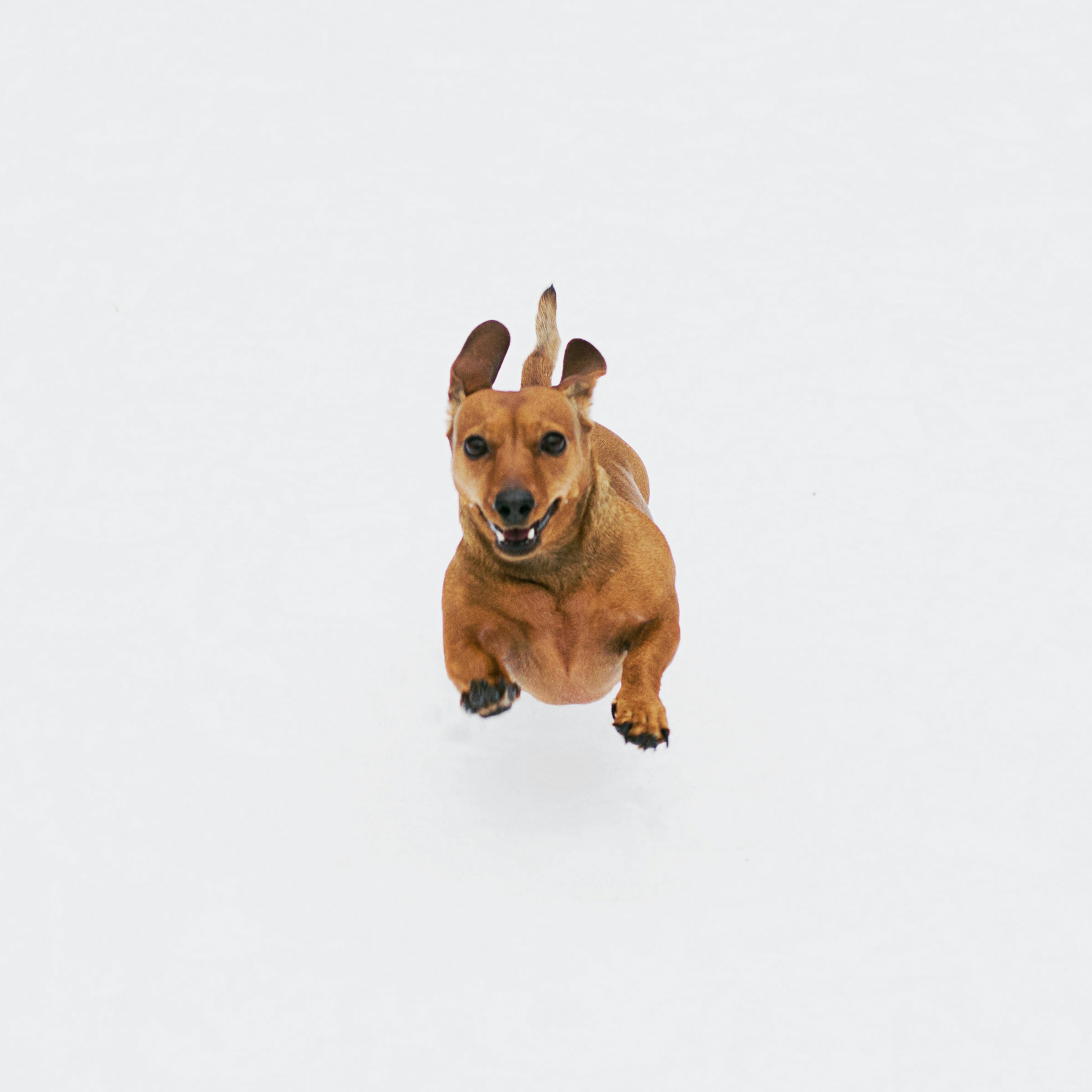Image thumbnail of a tasker