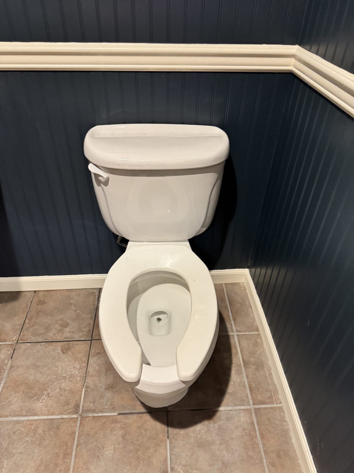 toilet replacement